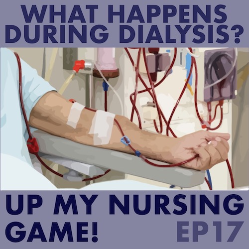 #17 What Happens During Dialysis?